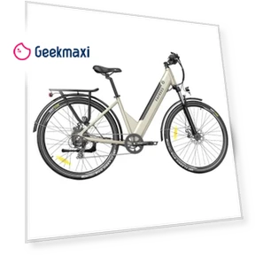 Step-through City Electric Bike — Electric Self-Balancing Scooters, Fafrees