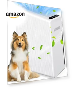 Large Room Air Purifier — Activated Carbon Air Purifiers, Mooka Family