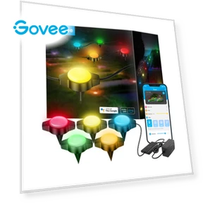 RGBIC Wi-Fi + Bluetooth Outdoor Ground Lights — Outdoor Security & Flood Lighting, Govee