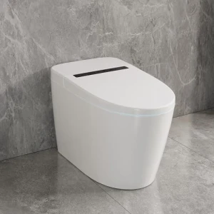 Smart Toilet with Heated Seat and Auto Flush, Deer Valley