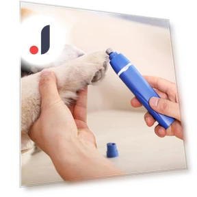 Dog Grooming Kit with Nail Clipper — Hair Clippers, Pet park