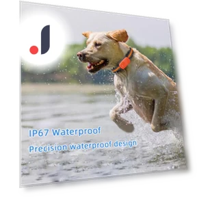 GPS Pet Tracker Collar — Trackers, zhenmiaoxiang