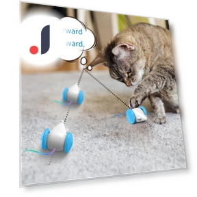 Interactive Cat Toy — Cat Playthings, TOMTOP JMS
