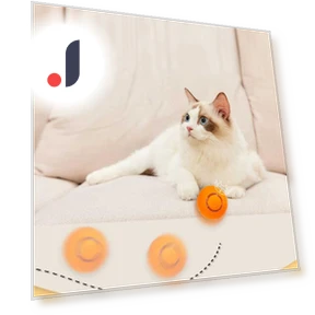 Interactive Smart Toy for Cats — Cat Playthings, Pet Zooo
