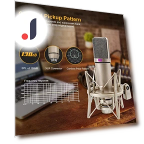 Professional Cardioid Condenser Microphone — Condenser, ZPG