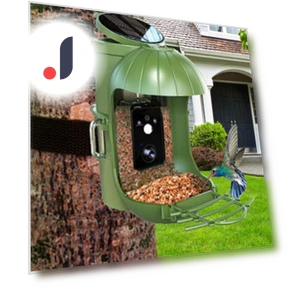 Smart Bird Feeder with Camera — Outdoor & Wildlife Cameras, Kitty Cat House