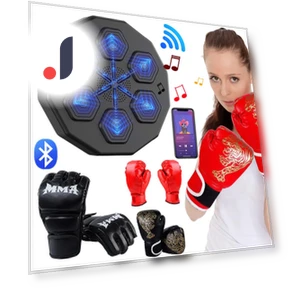 Smart LED Boxing Trainer — Boxing Training Gear, Binchi Keji Travel