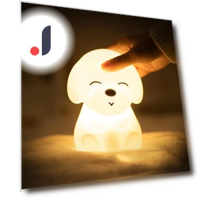 Colorful LED Night Light for Dogs — Night Lights, We Satisfied
