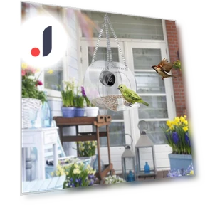 Smart Bird Feeder with Camera — Outdoor & Wildlife Cameras, Niubiplus