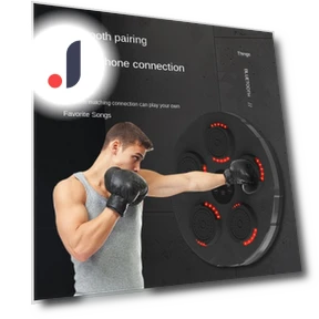Smart Bluetooth Music Box for Wall Target — Boxing Training Gear, Binchi Outdoor Equipment