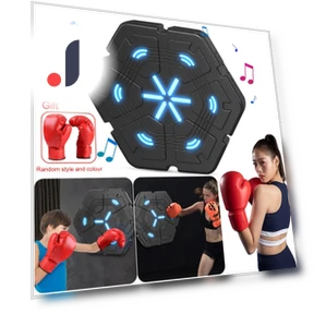 Smart Musical Boxing Trainer — Boxing Training Gear, Binchi Keji Travel