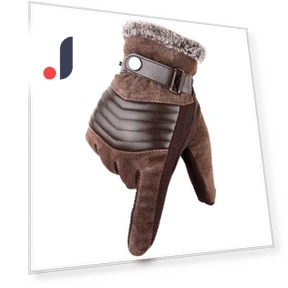 Winter Touchscreen Gloves — Gloves, Holland Zho