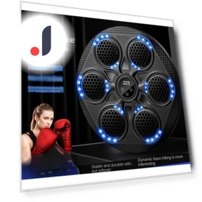 Smart Bluetooth Boxing Trainer — Boxing Training Gear, Binchi Outdoor Equipment