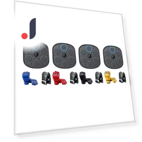 Smart Boxing Trainer — Boxing Training Gear, Binchi Keji Travel