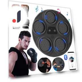 Smart LED Boxing Machine — Boxing Training Gear, ZC1