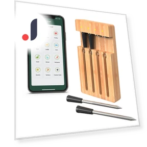 Wireless Meat Thermometer with Smart APP Control — Grill Thermometers, Neoglint