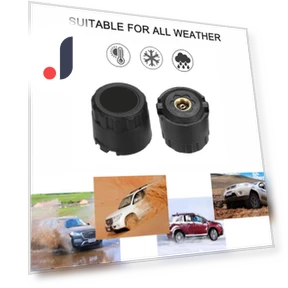 Wireless Tire Pressure Monitoring System — TPMS Sensor Replacements, Zeblaze