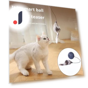 Automatic Cat Toy with Rolling Ball — Cat Playthings, Kitty Cat House