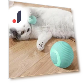Funny Pet Toys Exercise Chase Electric Ball — Cat Playthings, Sock