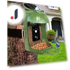 Smart Bird Feeder with Camera — Outdoor & Wildlife Cameras, Zenithe