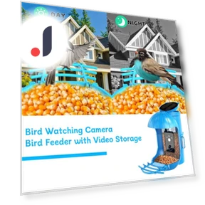 Smart Bird Feeder with Camera — Backyard Birding, Love Pet House