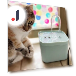 Automatic Cat Water Dispenser — Pet Hydration Solutions, AINYSZIN Automotive Parts