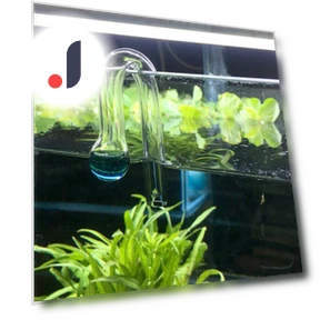 CO2 Diffuser Checker — Hydrometers, SURTOP