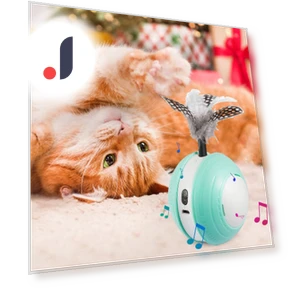 Electric Toy Ball for Cats — Cat Playthings, Wrigleys