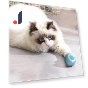 Interactive Ball Smart Cat Toys Indoor Automatic Rolling Magic Ball — Balls, AE Selection