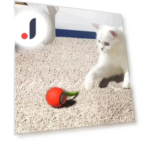 Interactive Cat Toy with Smart Rolling Ball — Cat Playthings, Vogue Wardrobe