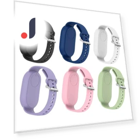 Silicone Wrist Strap — Wearable Accessories, Lanspo