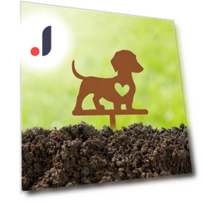 Smart Garden Peg for Dogs — Garden Stakes, CIFbuy