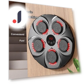 Smart Musical Boxing Target Trainer — Boxing Training Gear, Binchi Keji Travel
