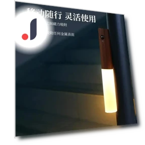 Automatic PIR Motion Sensor Rechargeable Magnetic Night Light — Night Lights, Wrigleys