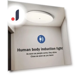 Ceiling Motion Sensor Light — Close To Ceiling, Elegant Living House
