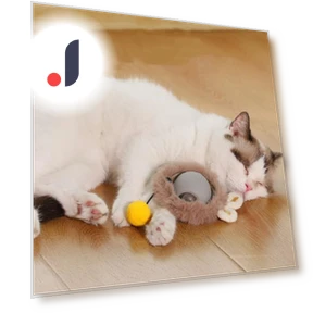 Interactive Cat Toy Ball — Cat Playthings, Pet park