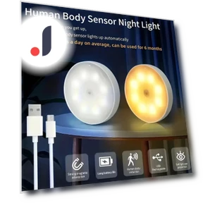 Motion Sensor Indoor Lights — Garden Illumination, Build My Home