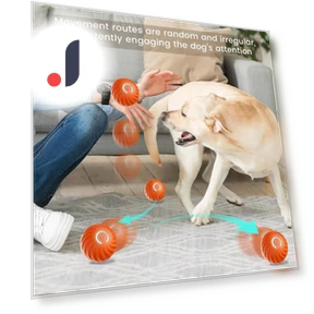 Smart Toy Ball for Dogs — Interactive Animal Companions, Super Dream Home