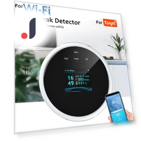 Smart WiFi LCD Gas Leak Detector — Gas Safety Equipment, Salted Chicken