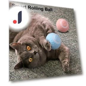 Interactive Cat Ball — Cat Playthings, fuhushhs