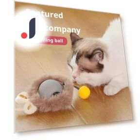 Interactive Cat Toy Ball — Cat Playthings, anruifu