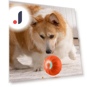 Interactive Pet Toy — Balls, Super Dream Home