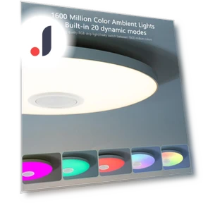 Smart Bluetooth LED Round Ceiling Light — Overhead Lighting, Rainbow Rain
