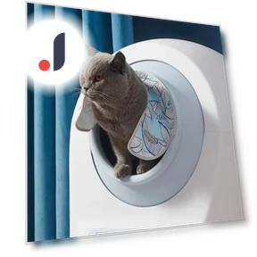 Smart Curtain for Litter Box — Litter, Rainbow Rain