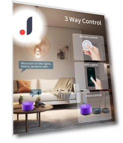 WiFi Smart Switch 16A RF 433Mhz — Smart Home Modules, Rainbow Rain