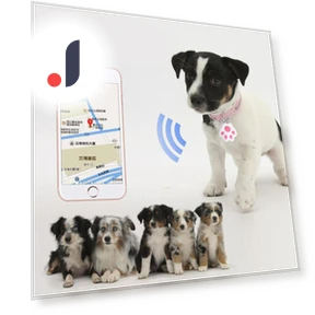 Bluetooth Anti-Loss Smart Keychain — Item Locators, lanle