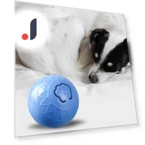 Interactive Cat Toy Ball — Cat Playthings, Pet park