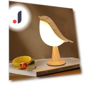 Rechargeable LED Desk Lamp with Aromatherapy — Study & Desk Lighting, YC Direct