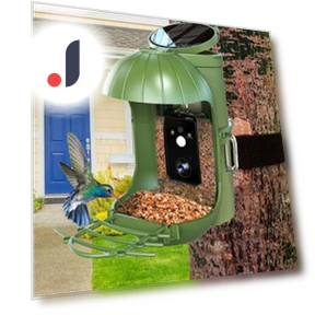 Smart Bird Feeder with Camera — Outdoor & Wildlife Cameras, Pet park