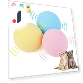 Smart Cat Toy — Cat Playthings, Global Cozy Life